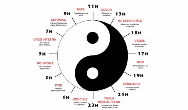 Réveil à 4h Du Matin Signification Médecine Chinoise